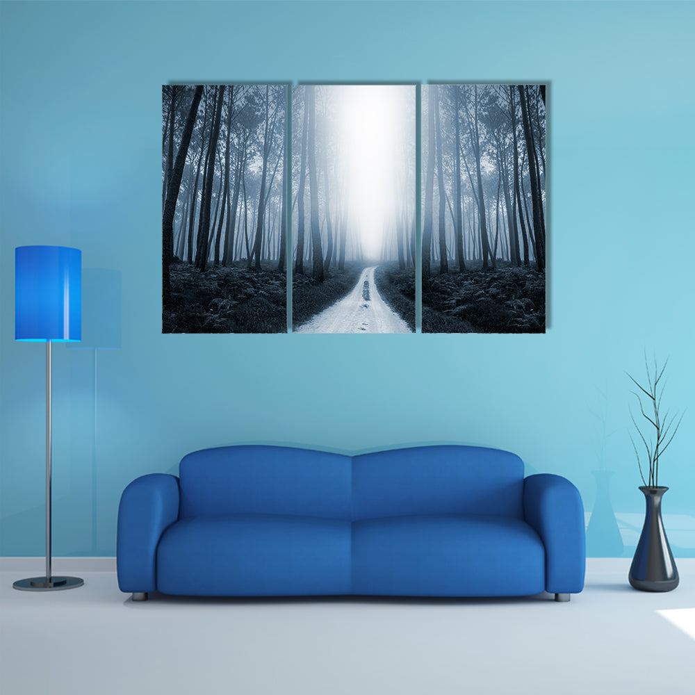 Scary Misty Road In The Forest Canvas Wall Art