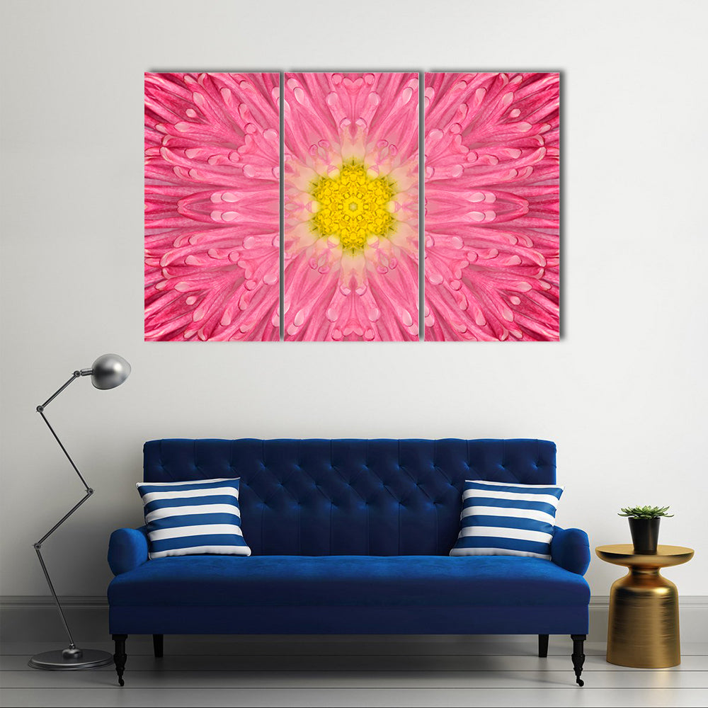 Daisy Pink Flower Canvas Wall Art