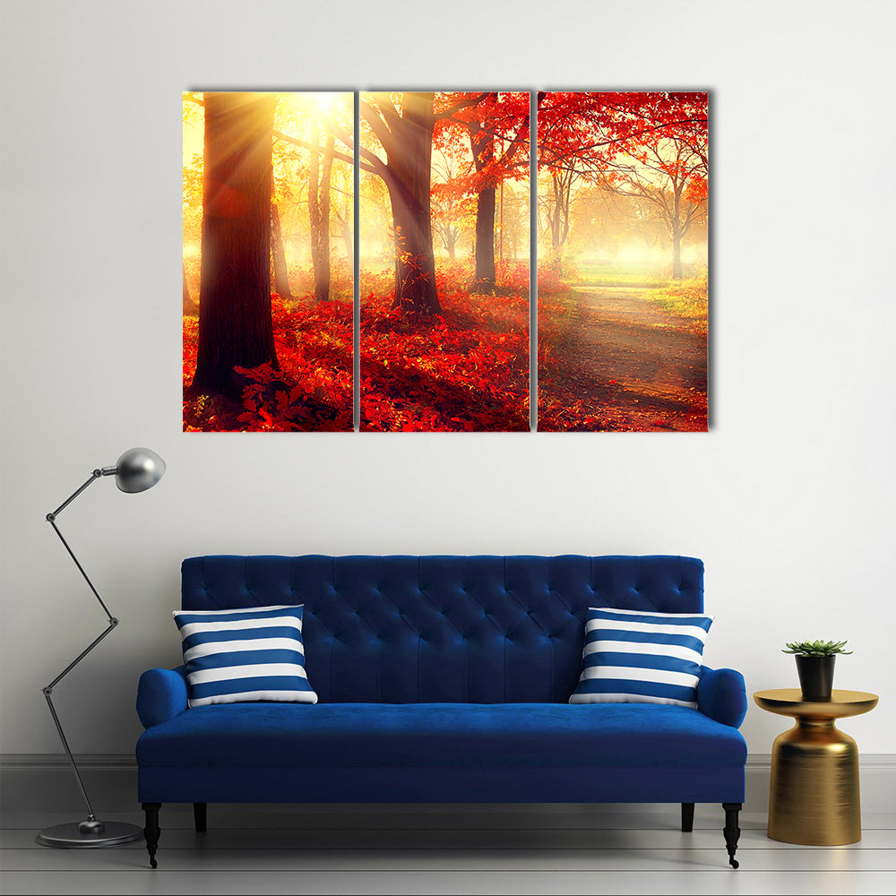 Autumn Park in Morning Sun Canvas Wall Art