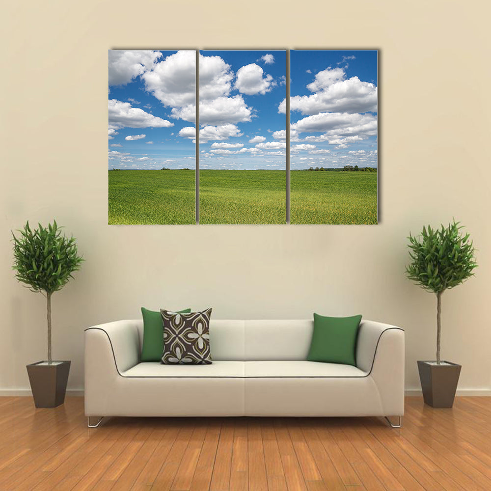 Blue Sky Over Green Field Canvas Wall Art