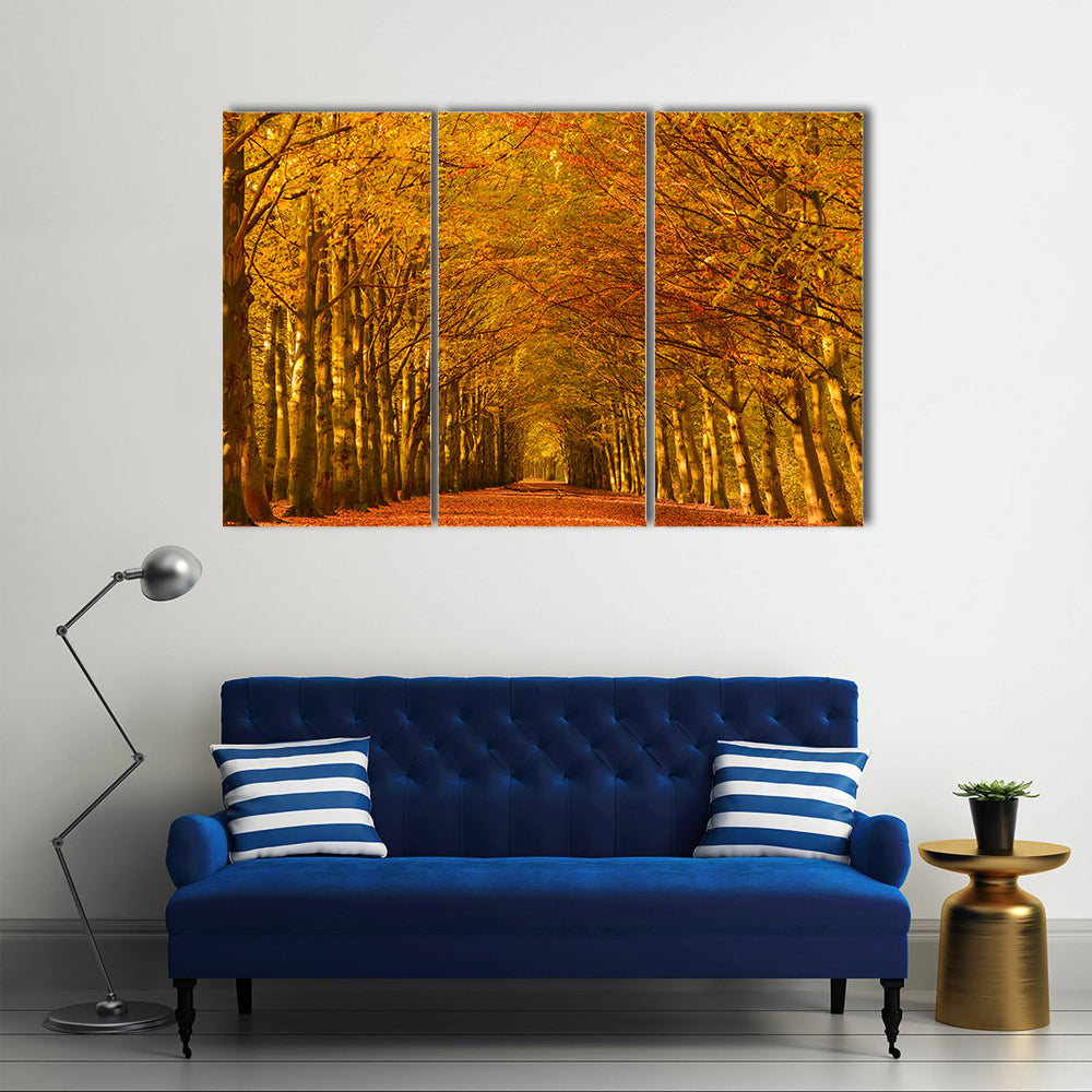 Autumn Forest Lane Canvas Wall Art