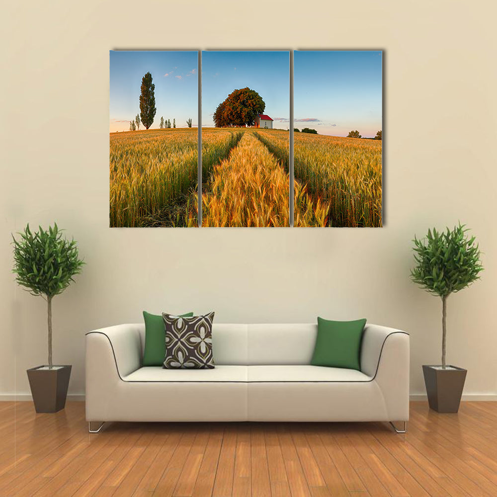 Summer Wheat Field at Golden Hour Canvas Wall Art