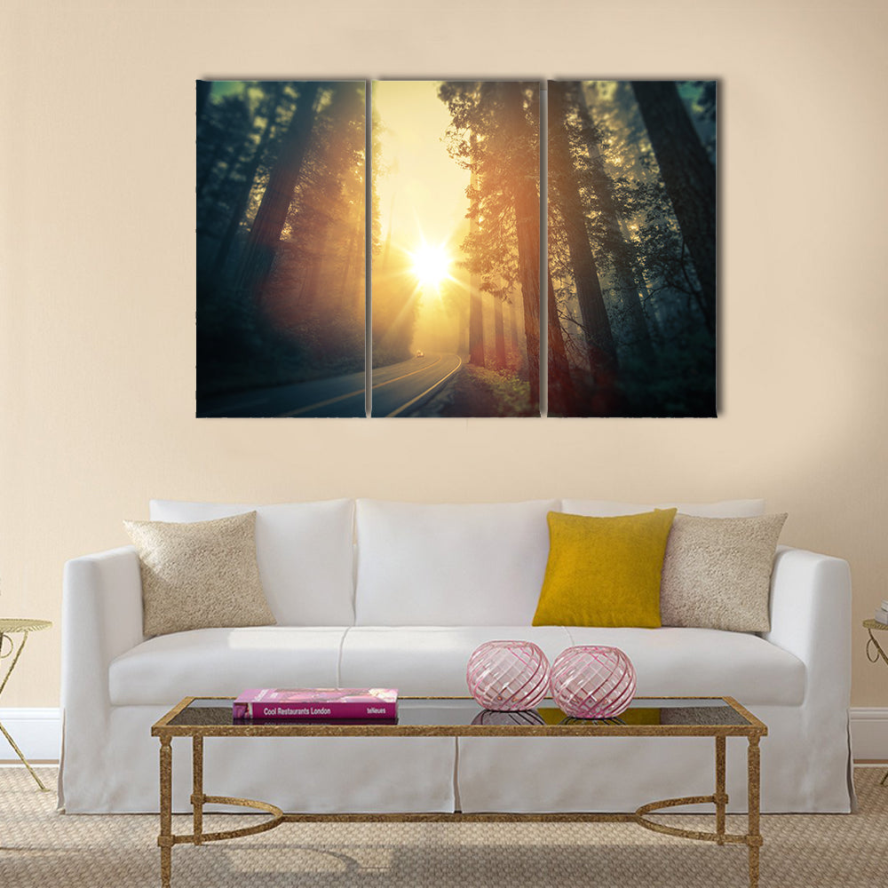 Foggy Redwood Forest Road Canvas Wall Art