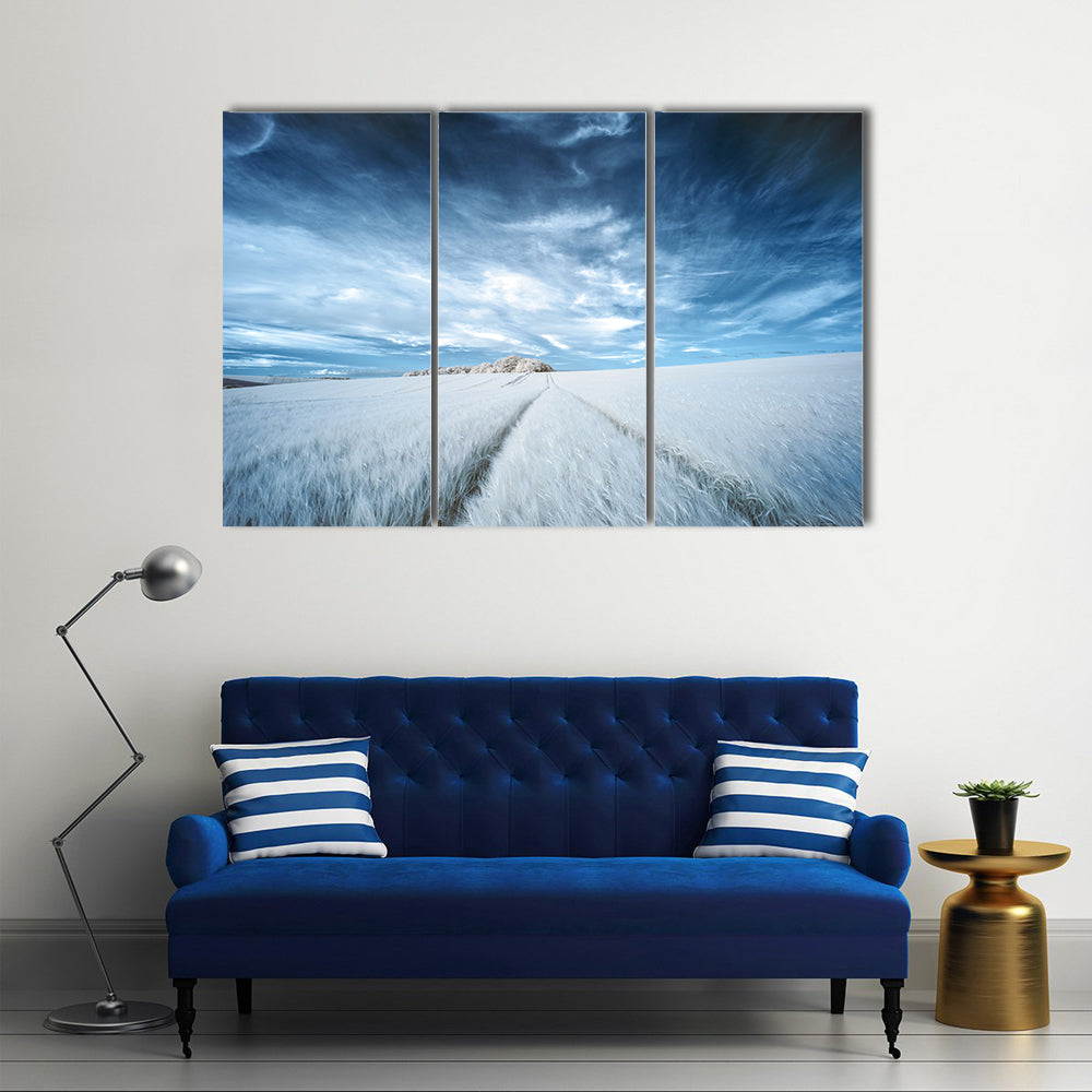 White Field with Parallel Tire Tracks Canvas Wall Art