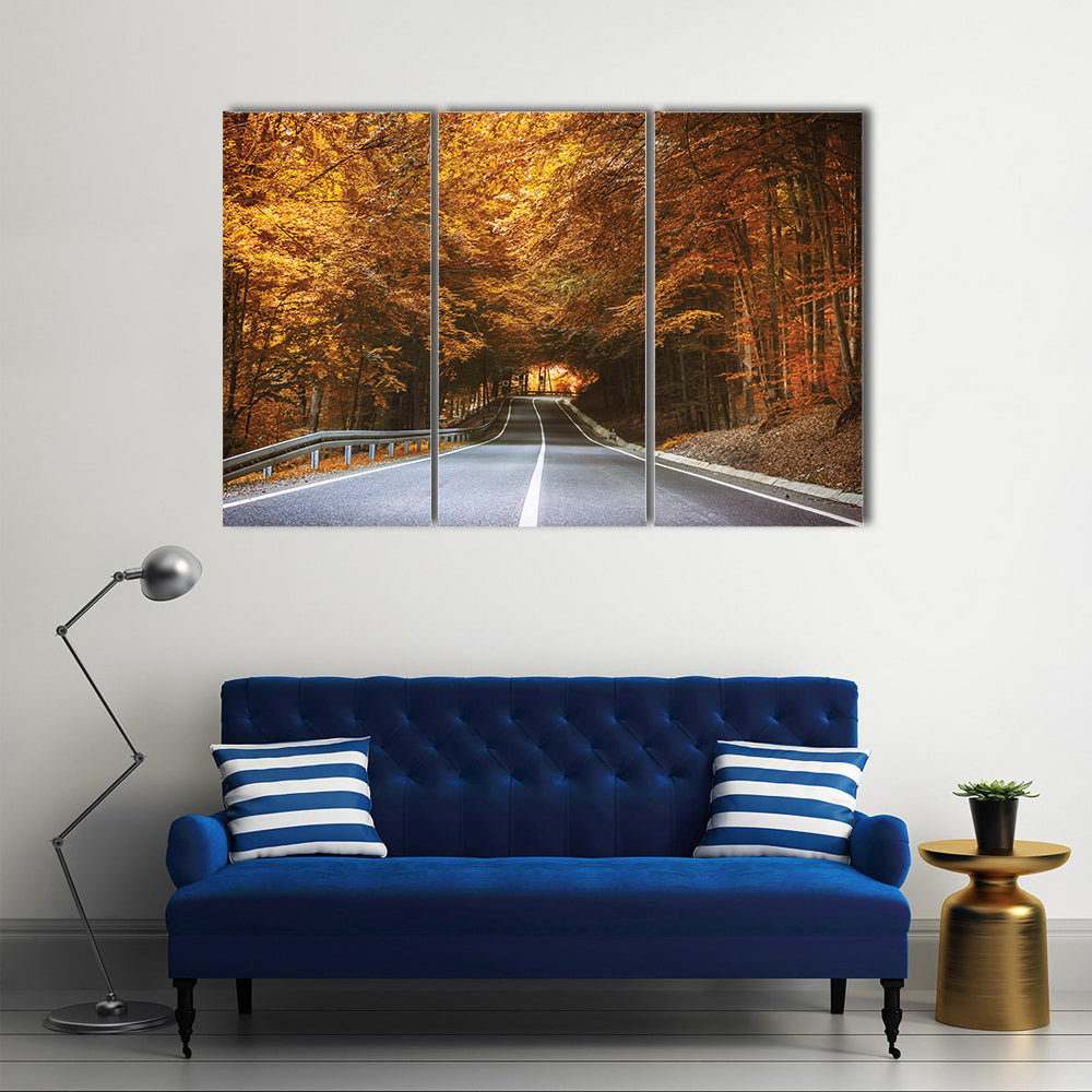 Forest Road in Autumn Canvas Wall Art
