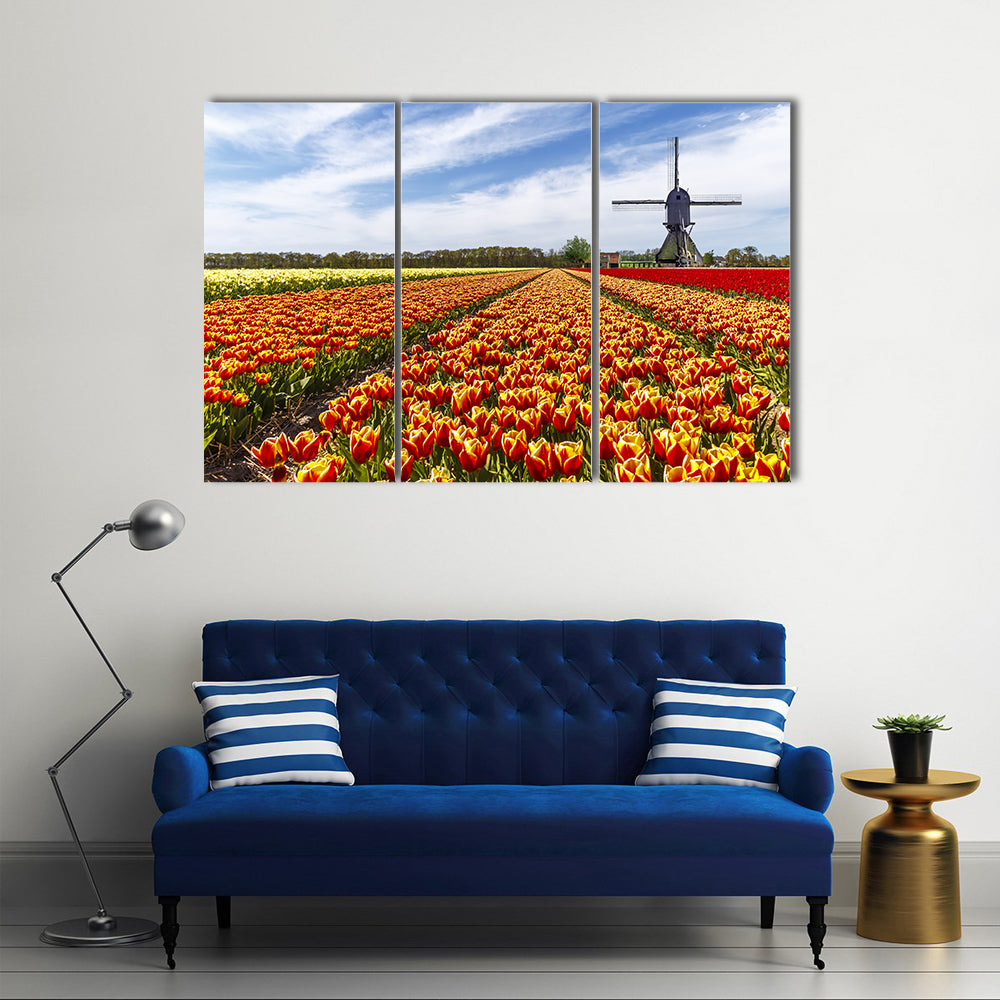 Colorful Tulip Field with Dutch Windmill Canvas Wall Art