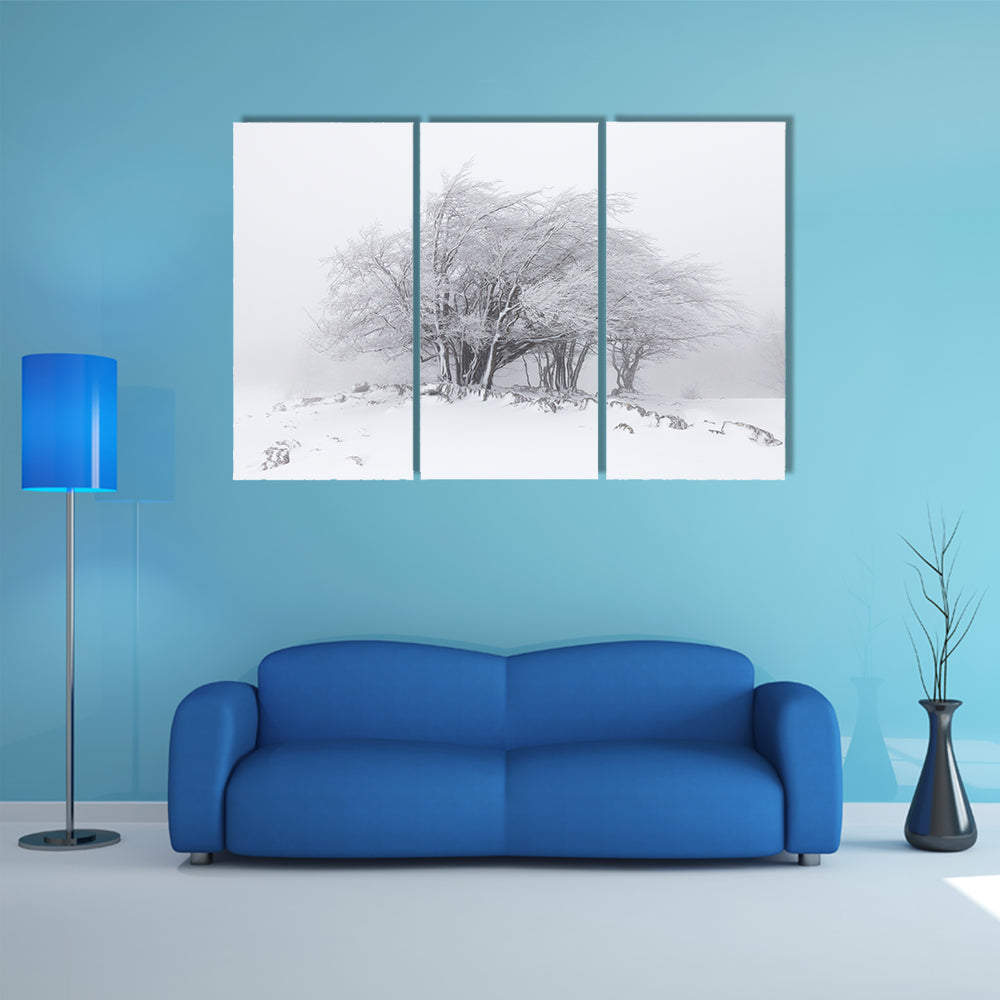 Foggy Winter Landscape In The Forest Canvas Wall Art