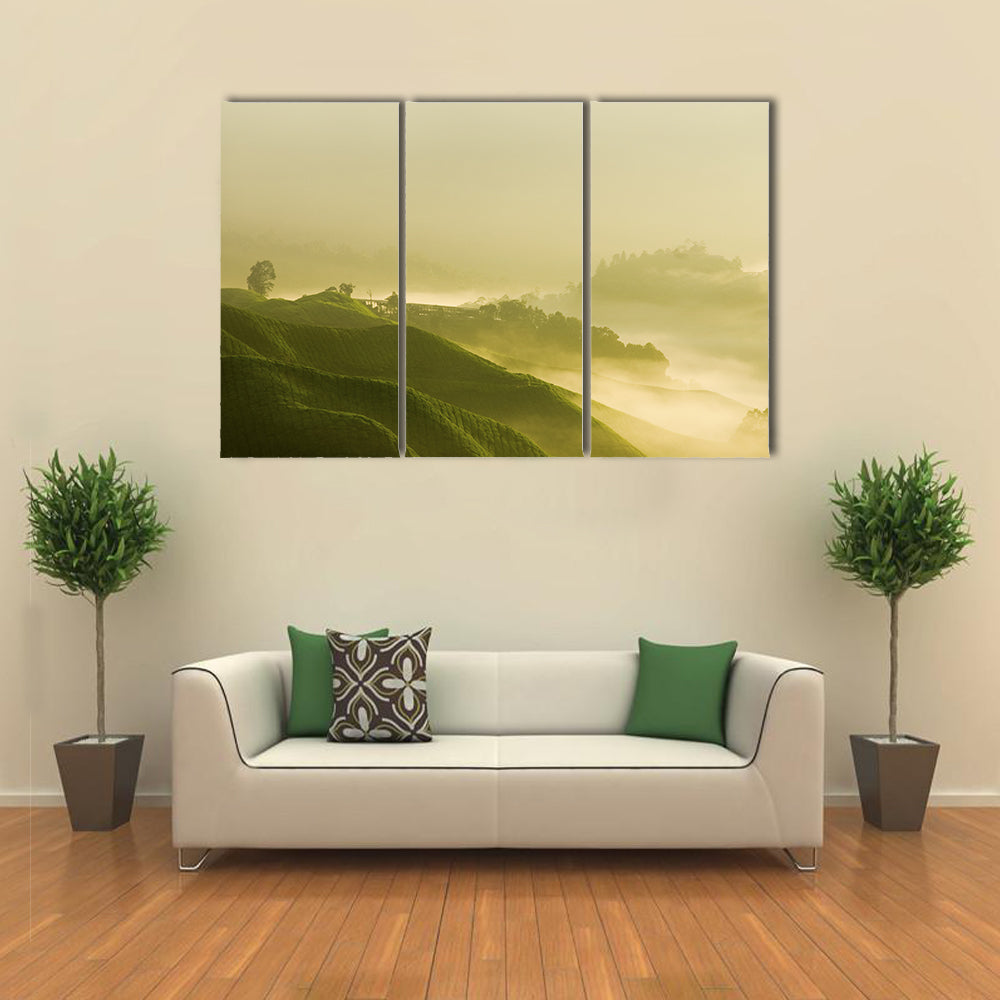 Tea Plantation At Cameron Highland Malaysia Canvas Wall Art