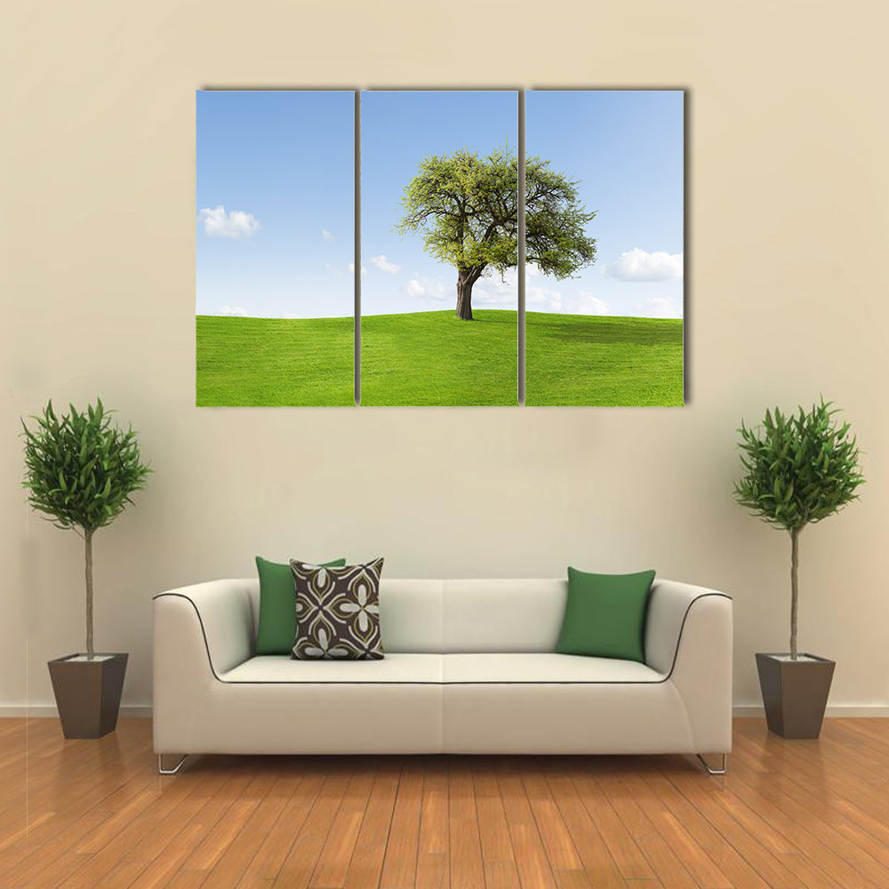 Solitary Tree on Sunny Green Hill Canvas Wall Art