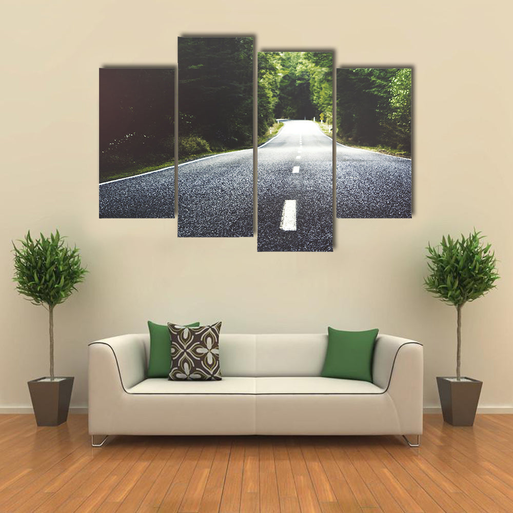Summer Country Road Through Forest Canvas Wall Art