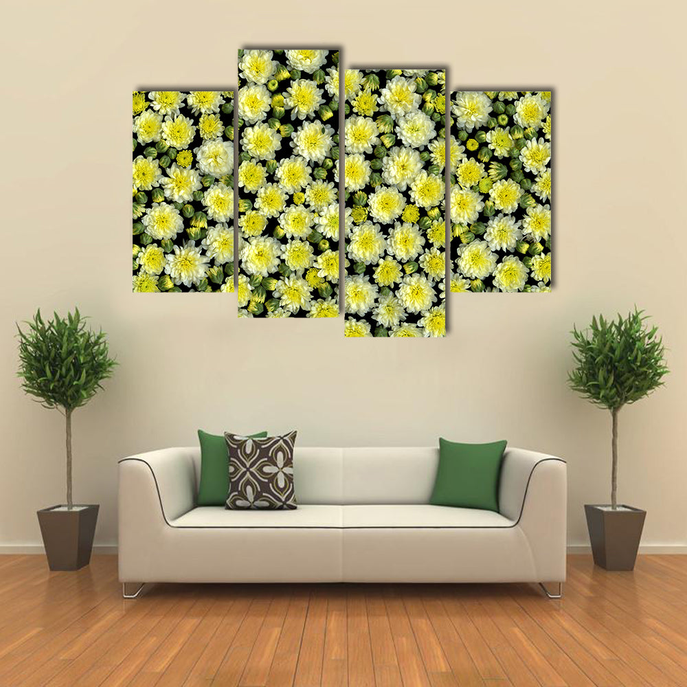 Yellow and White Chrysanthemums Canvas Wall Art