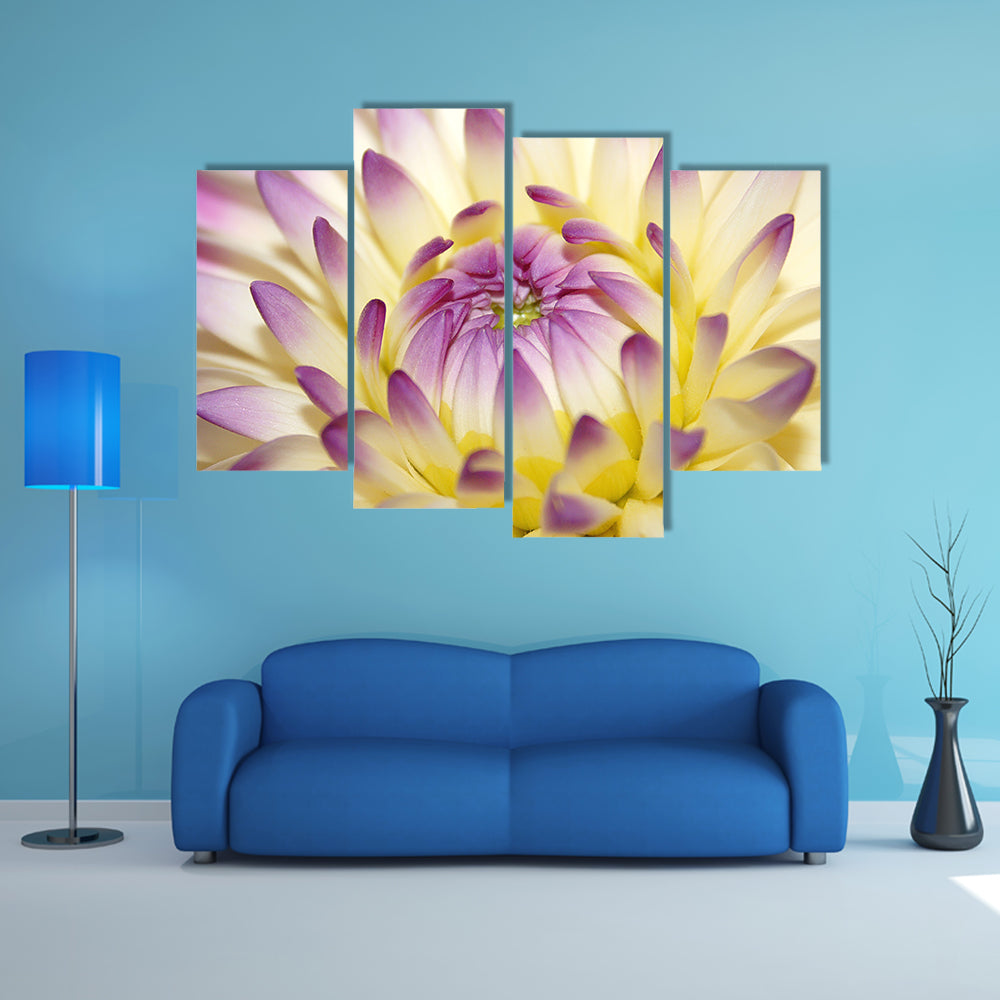 Macro Pink Flower Canvas Wall Art