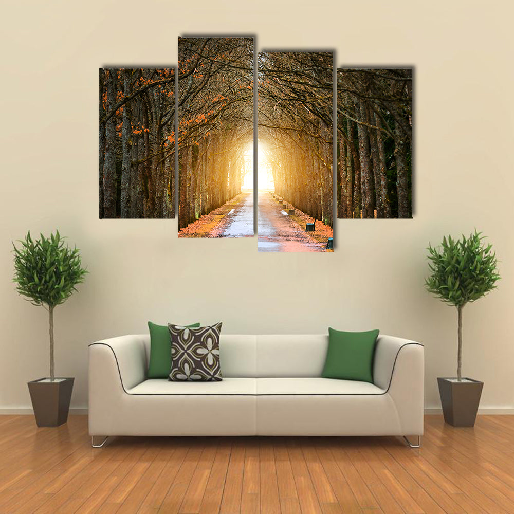 Autumn Tree Tunnel with Benches Canvas Wall Art