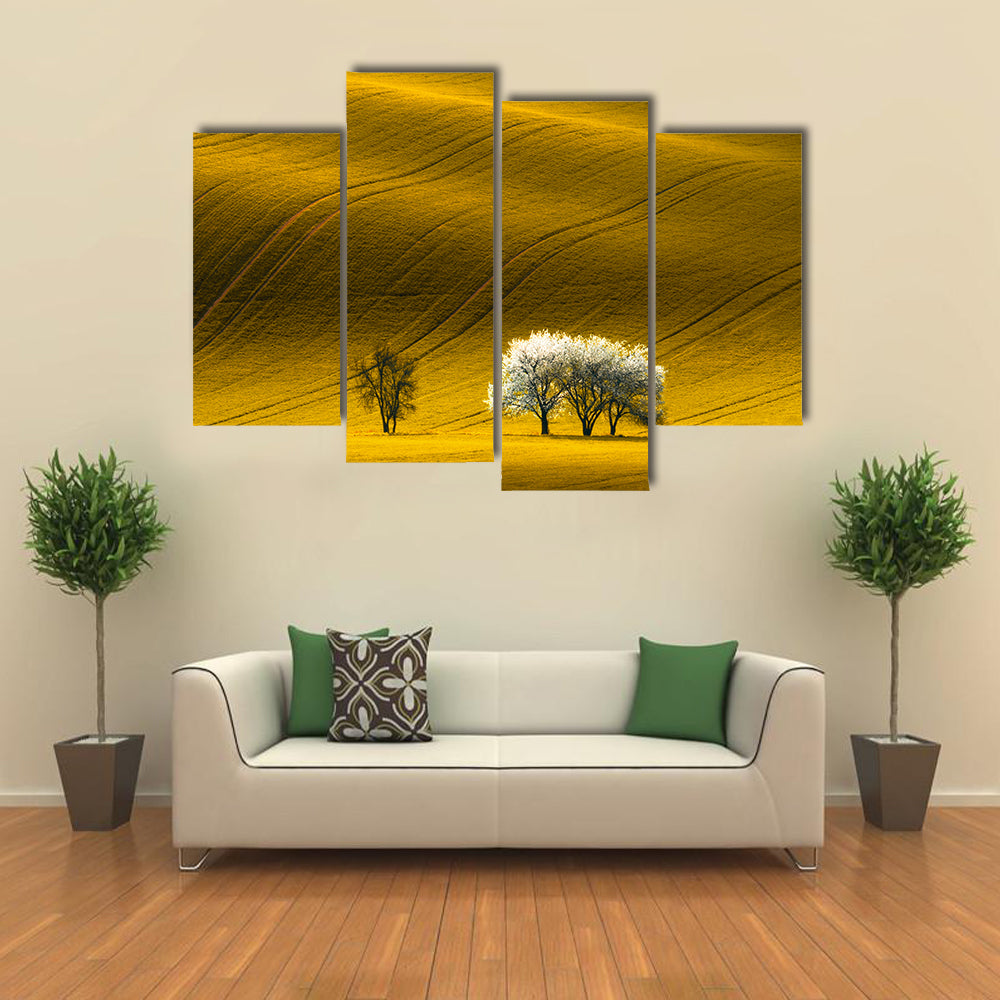 Spring Wavy Yellow Rapeseed Field Canvas Wall Art
