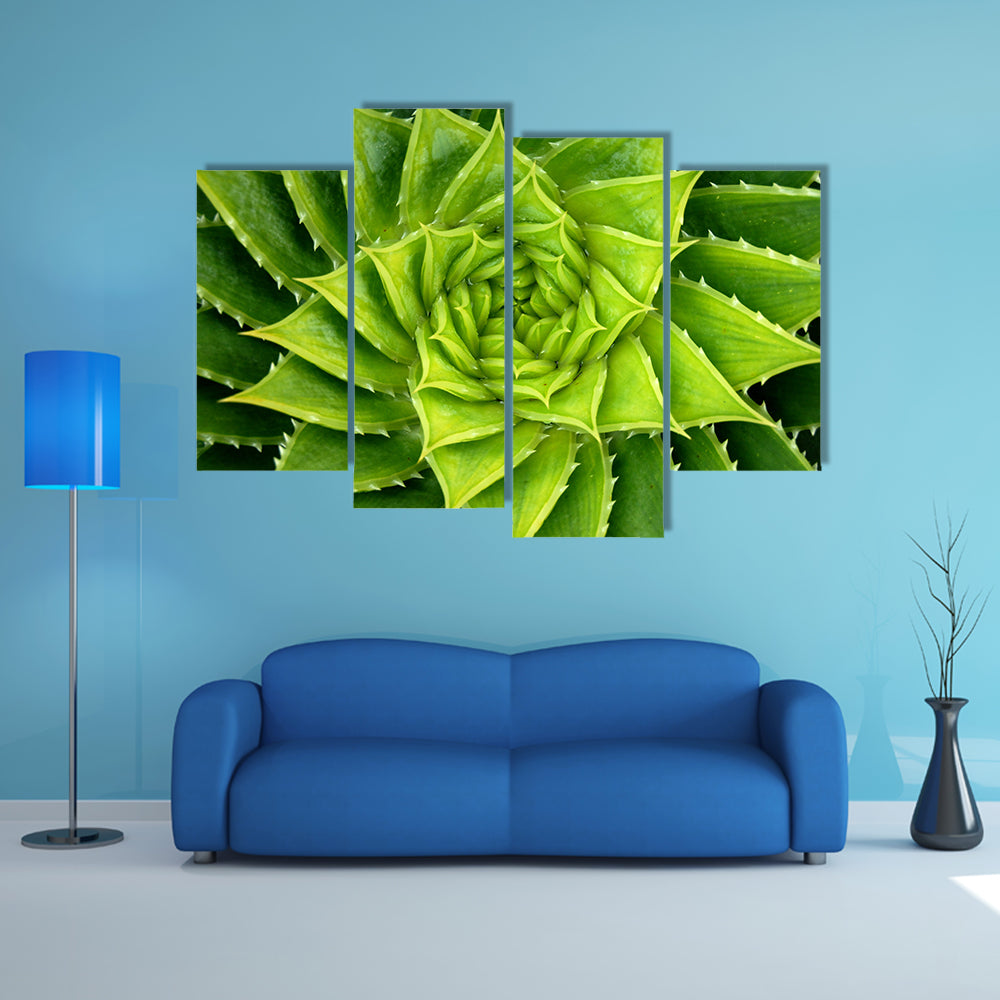 Vivid Green Spiral Aloe Plant Canvas Wall Art