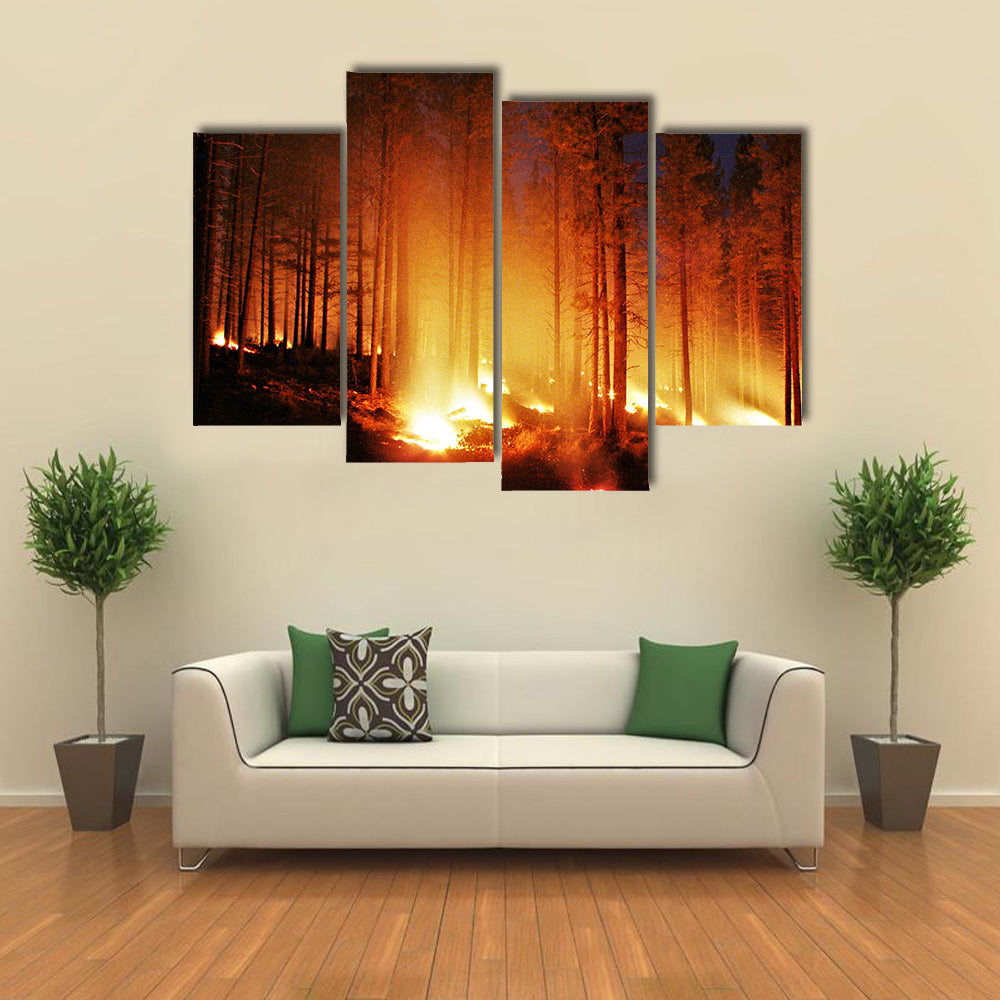Glowing Forest Fire At Night Canvas Wall Art