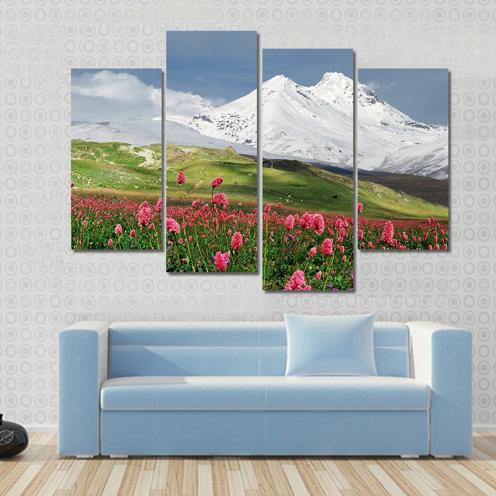 Blooming Flowers in Alpine Meadow Canvas Wall Art