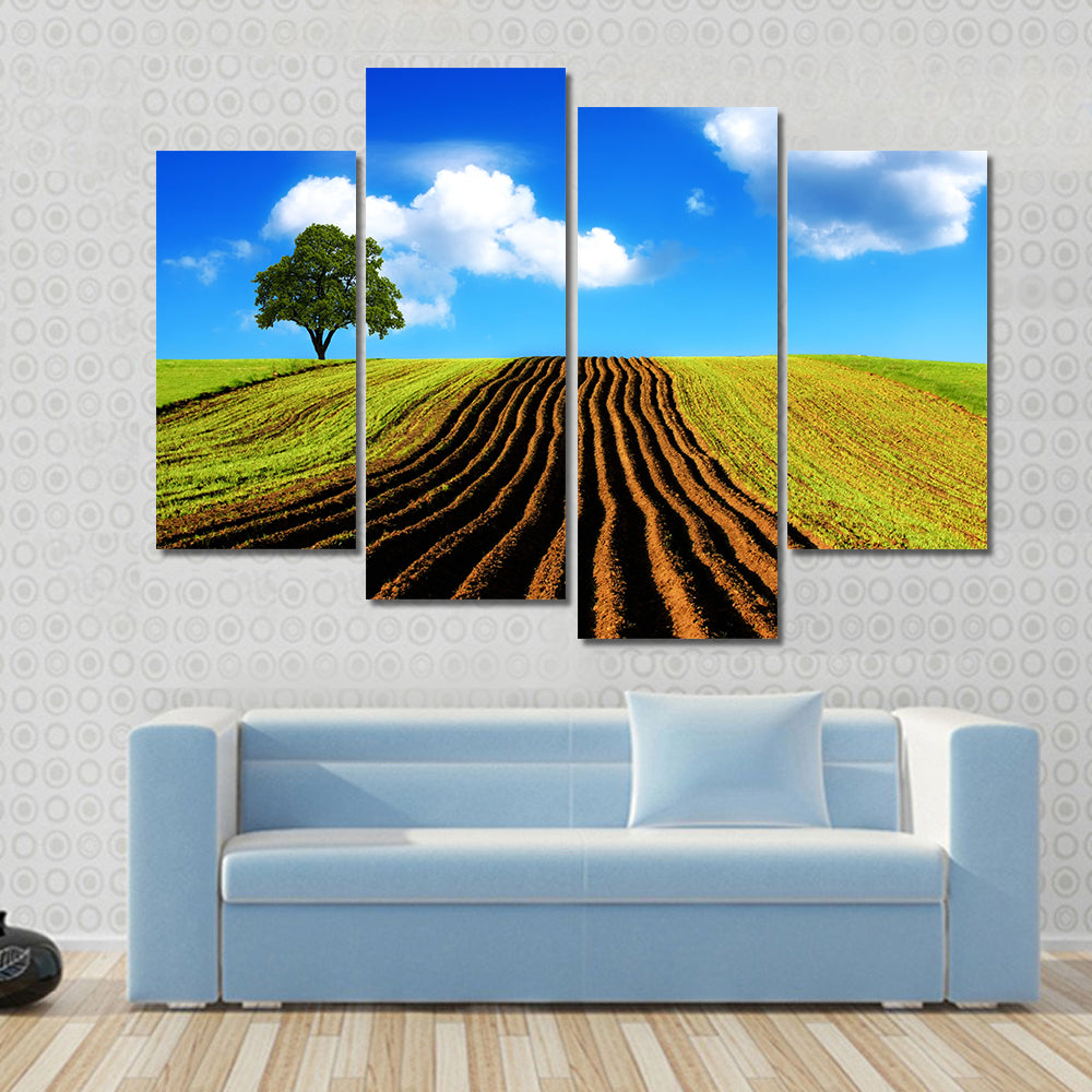 Ploughed Field with Lone Tree Canvas Wall Art
