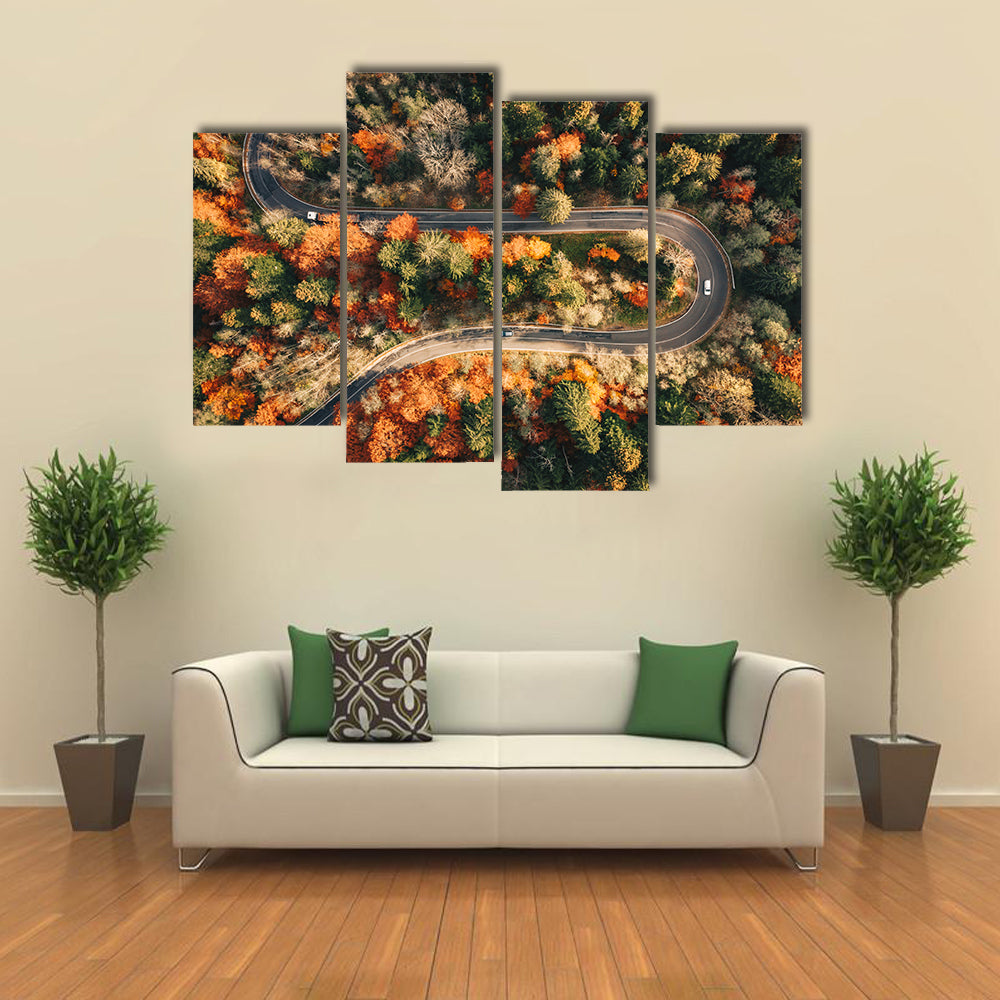 Winding Mountain Road Through Forest In Autumn Canvas Wall Art