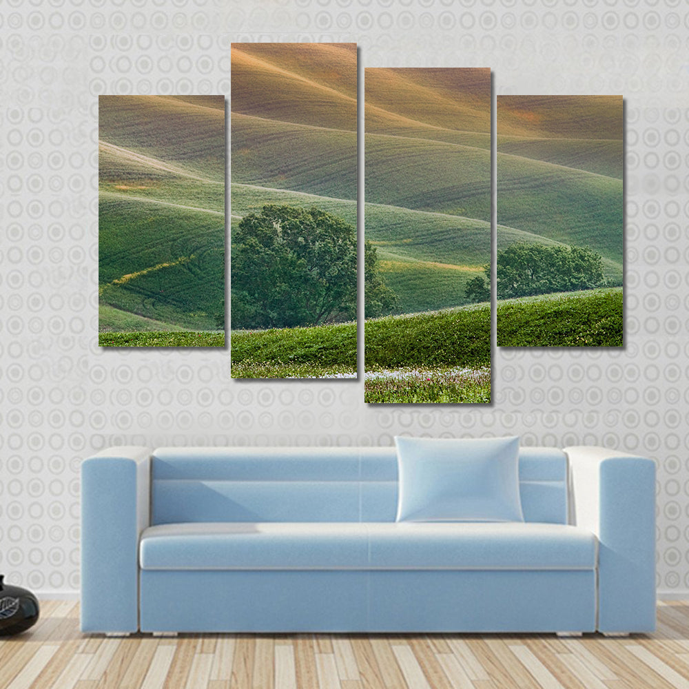 Tuscany Rolling Hills at Golden Hour Canvas Wall Art