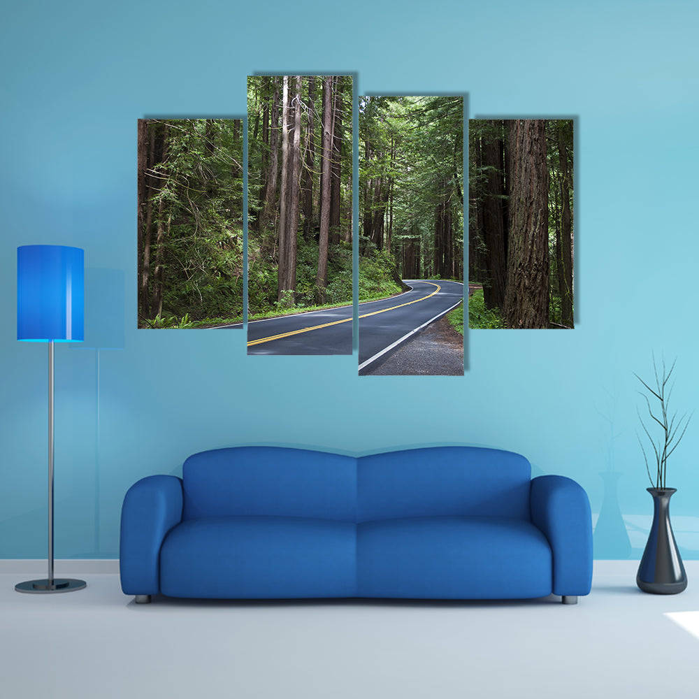 Redwoods Forest In California Canvas Wall Art