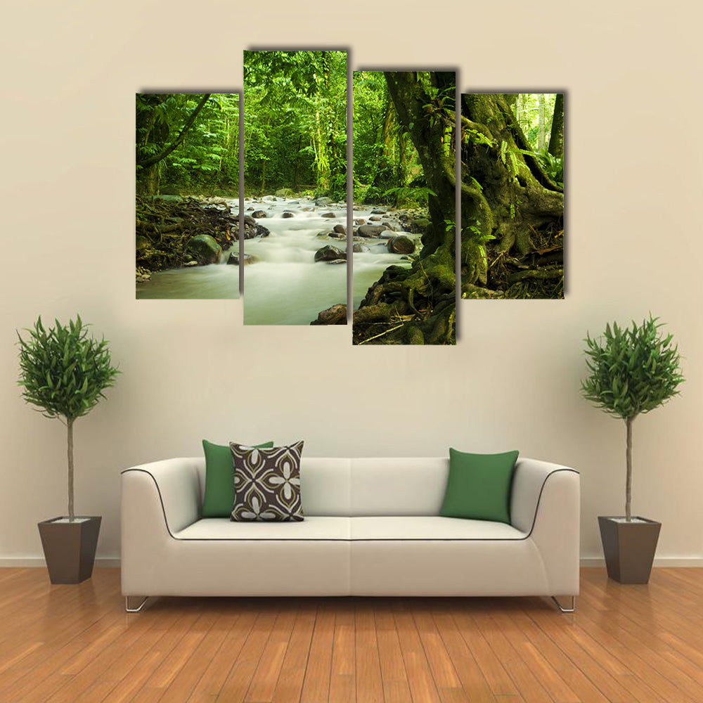 Tropical River At Selangor State In Malaysia Canvas Wall Art