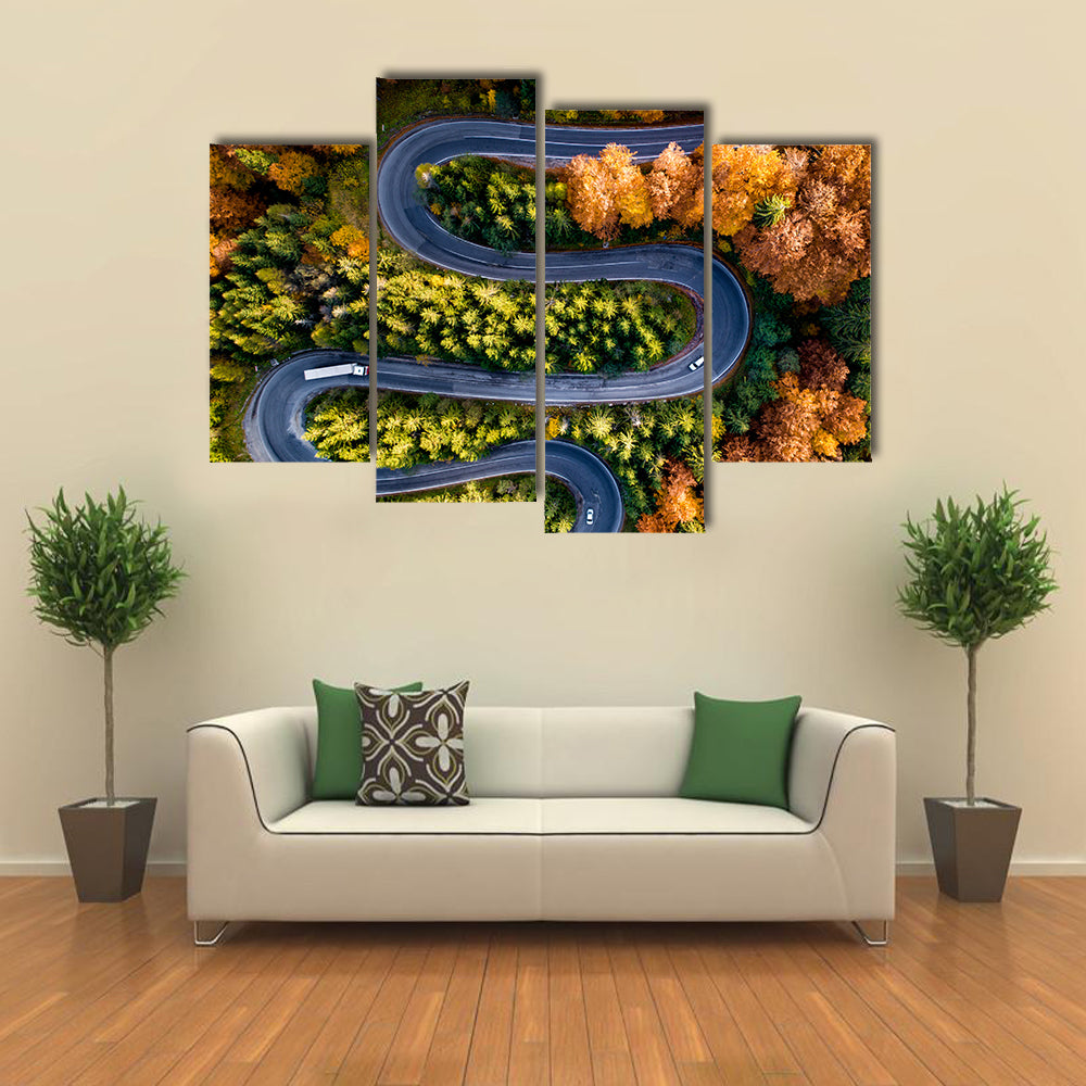 Winding Forest Road From Top Canvas Wall Art