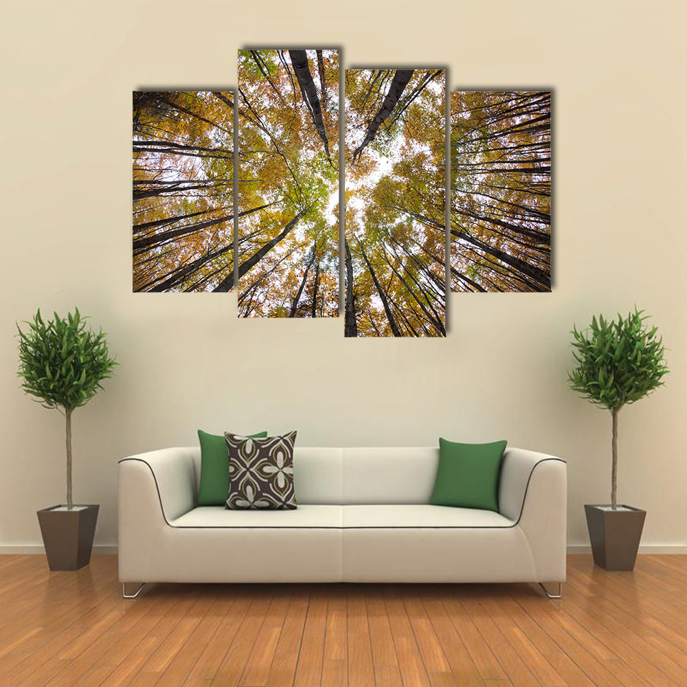 Autumn Forest Treetops Canvas Wall Art