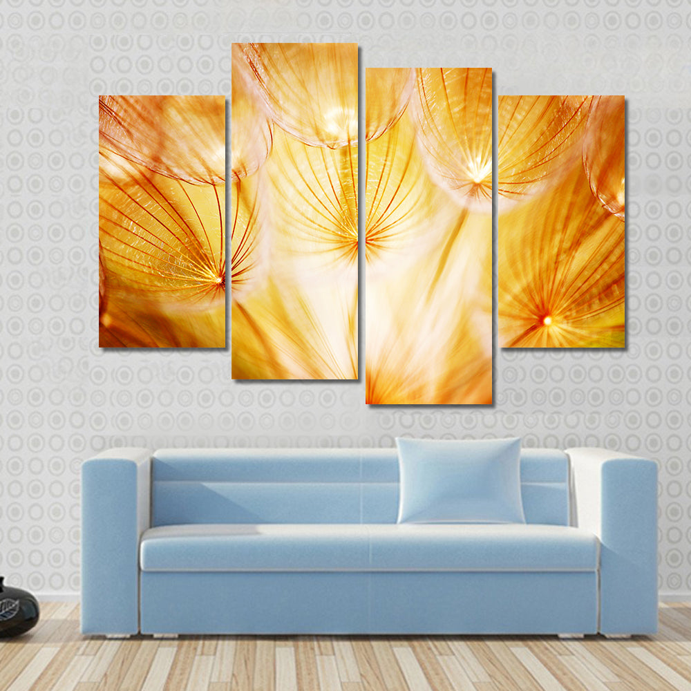 Soft Dandelion Flower Canvas Wall Art