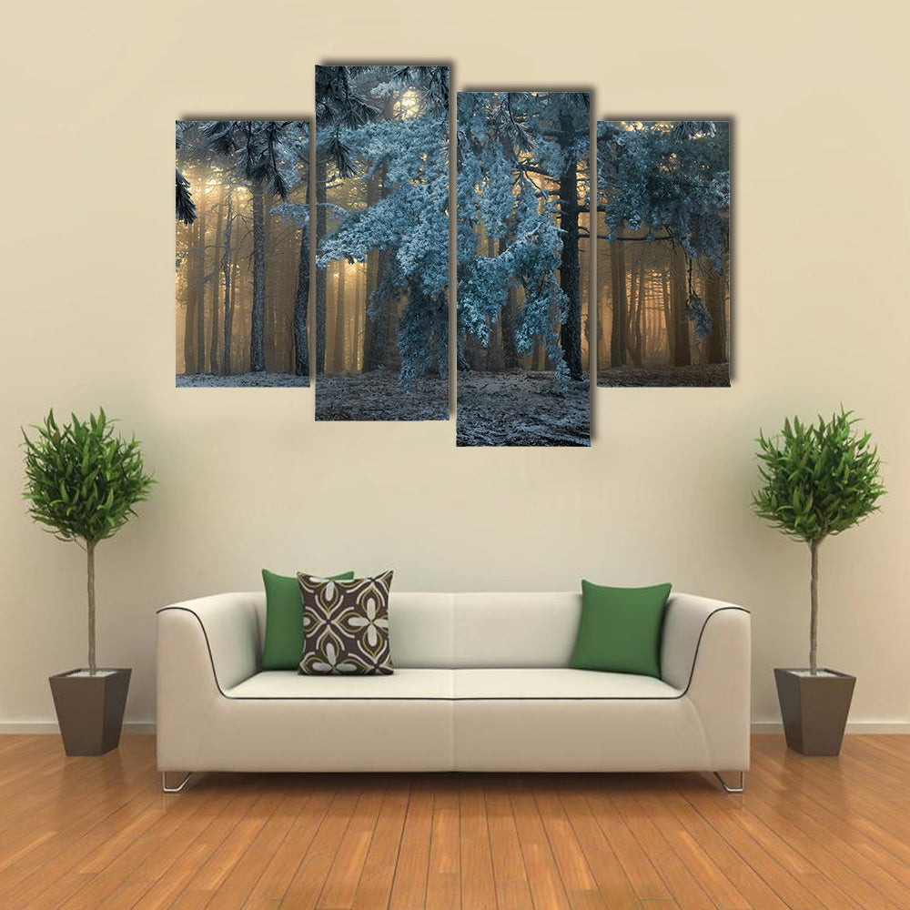 Fog In The forest In Uludag Turkey Canvas Wall Art