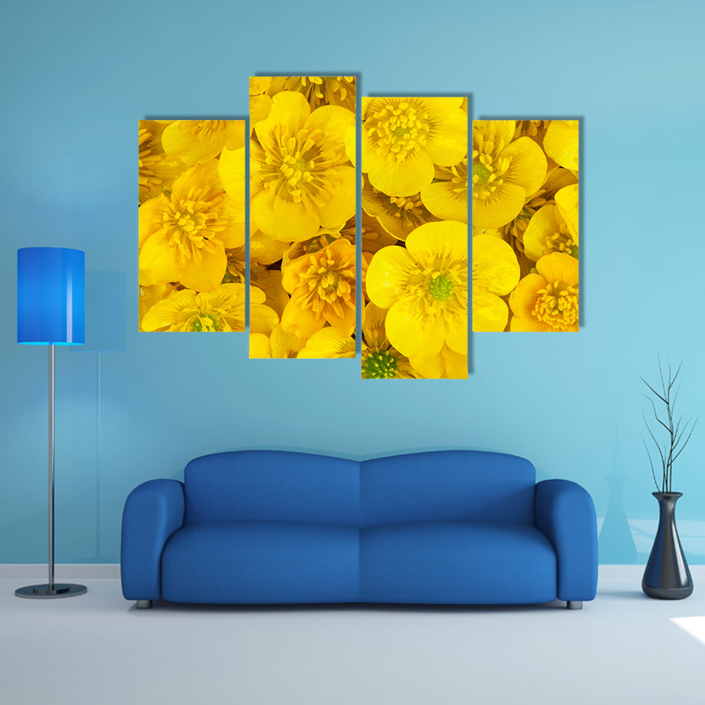 Yellow Wild Buttercups Canvas Wall Art