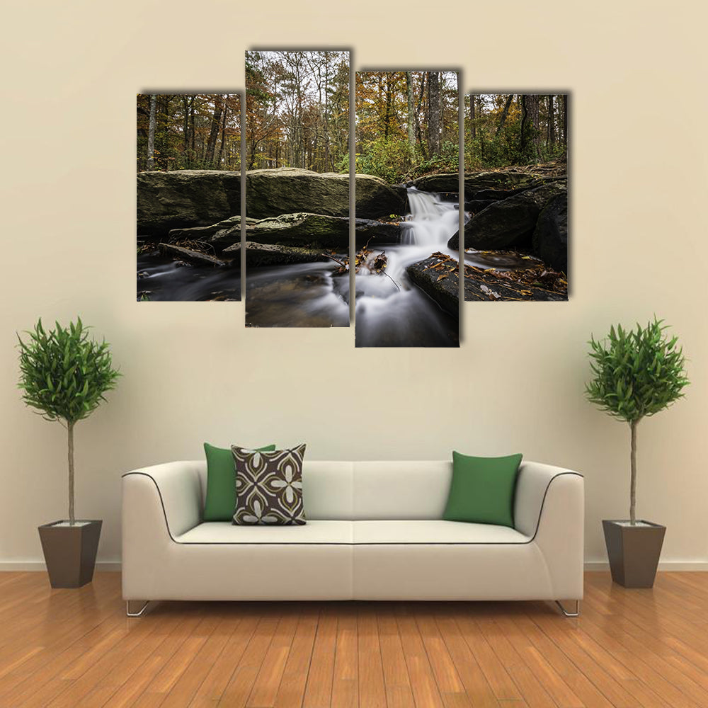 Cheaha Falls in Autumn Canvas Wall Art