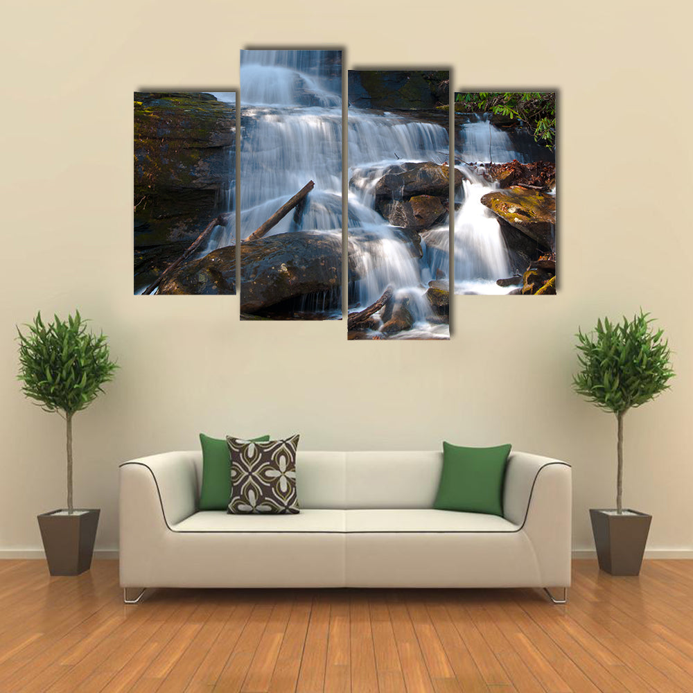 Desoto Falls, Georgia Canvas Wall Art