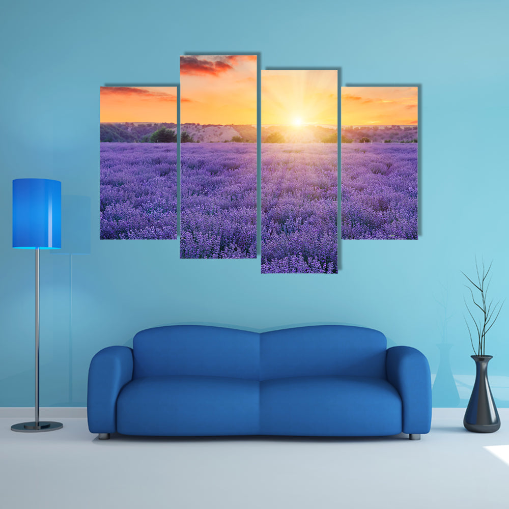 Lavender Fields At Sunset Canvas Wall Art