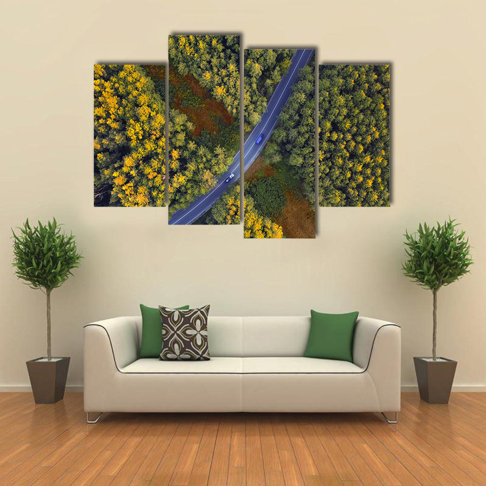 Travel Through Forest Canvas Wall Art