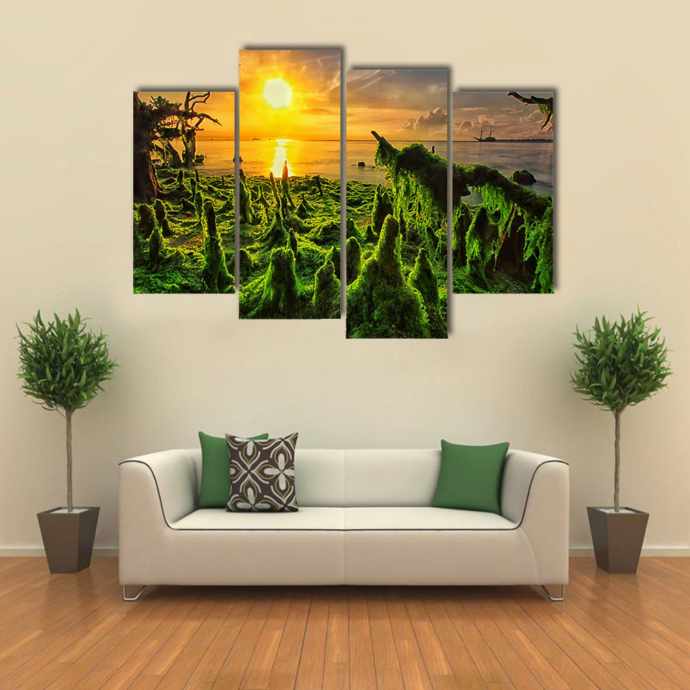 Moss-covered Mangrove Roots at Sunset Canvas Wall Art