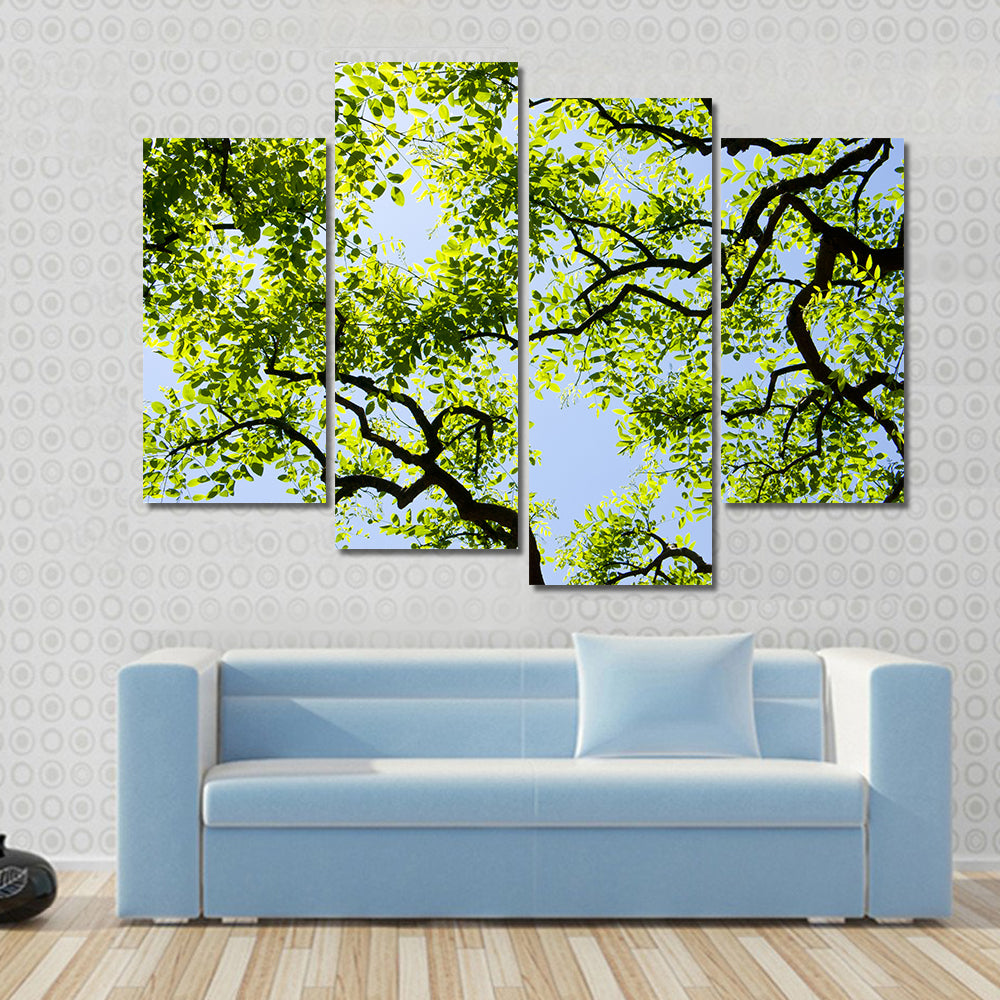 Tree Canopy with Bright Blue Sky Canvas Wall Art