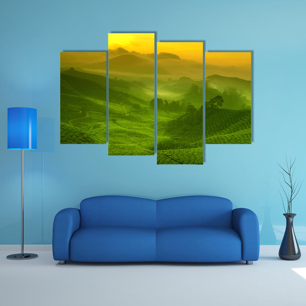 Tea Plantation In Cameron Highland At Sunrise Canvas Wall Art