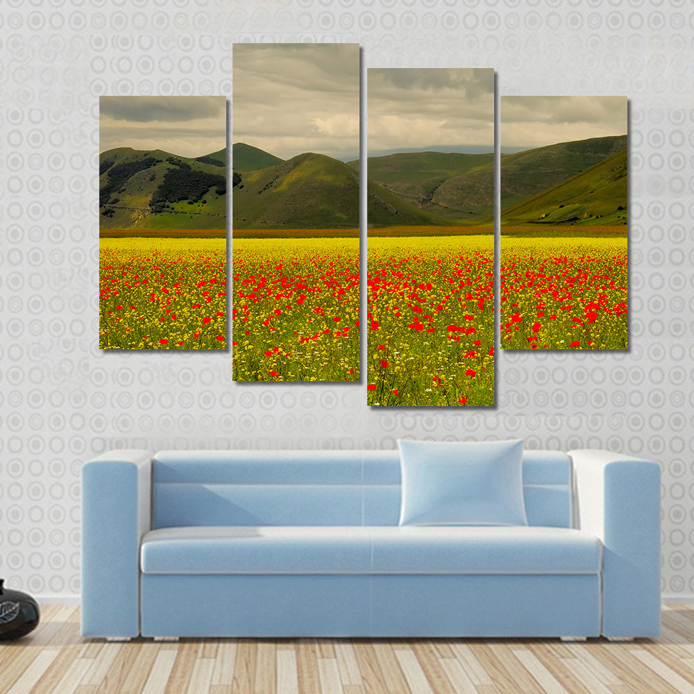 Castelluccio Di Norcia Meadow with Red Poppies Canvas Wall Art