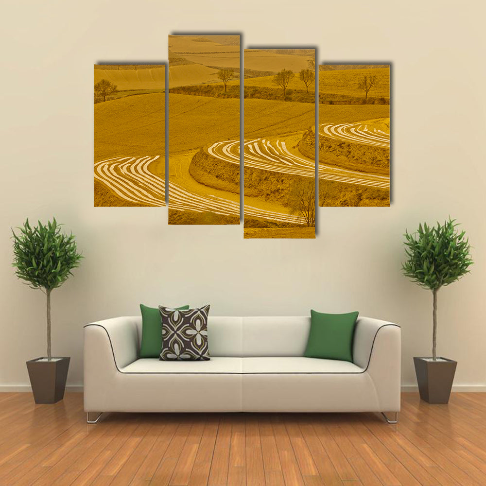Loess Plateau Terraced Fields Canvas Wall Art