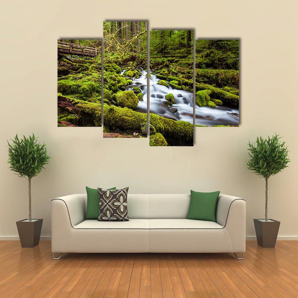 Sol Duc Falls Trail In Olympic National Park Canvas Wall Art