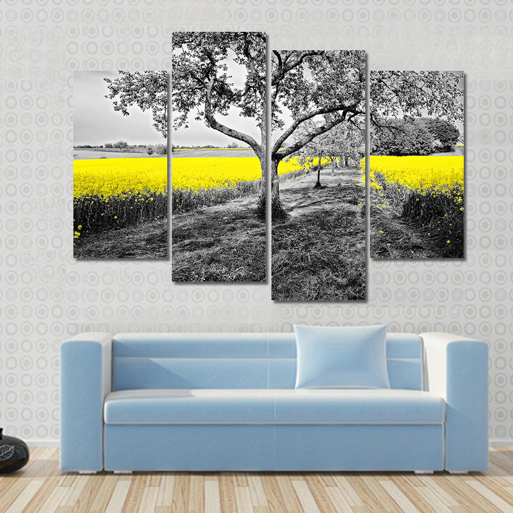 Yellow Canola Field with Large Tree and Path Canvas Wall Art