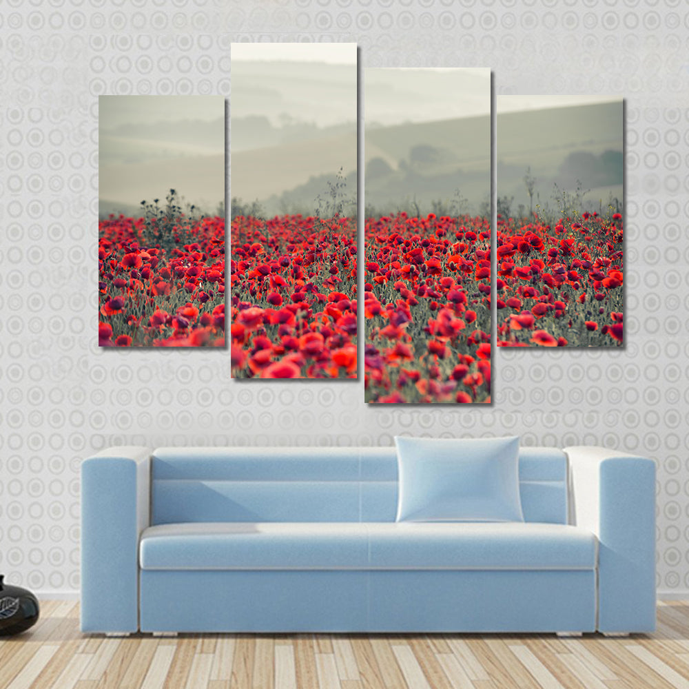 Field of Red Poppies Canvas Wall Art