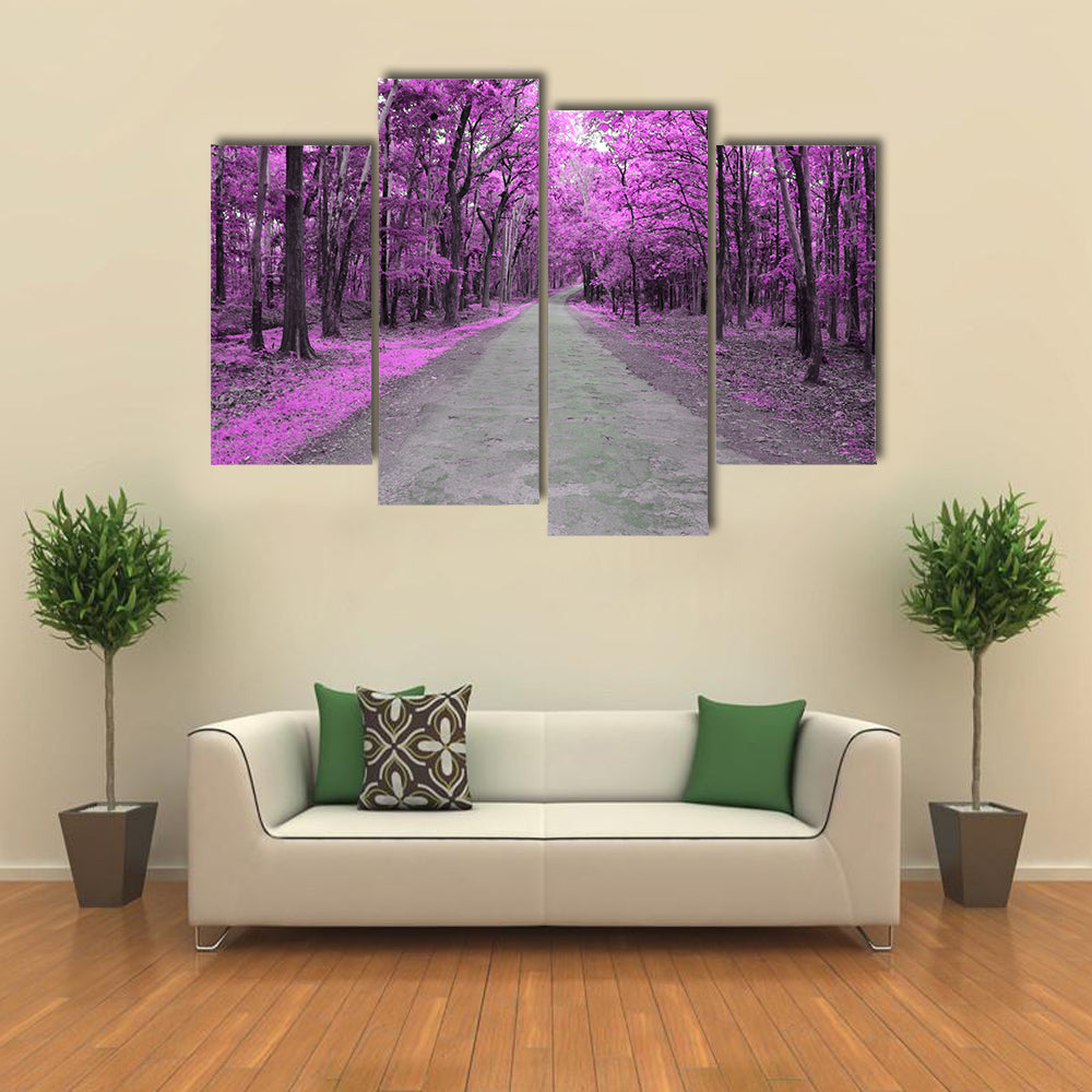 Forest Road In Autumn Canvas Wall Art