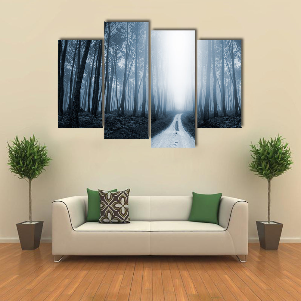 Scary Misty Road In The Forest Canvas Wall Art