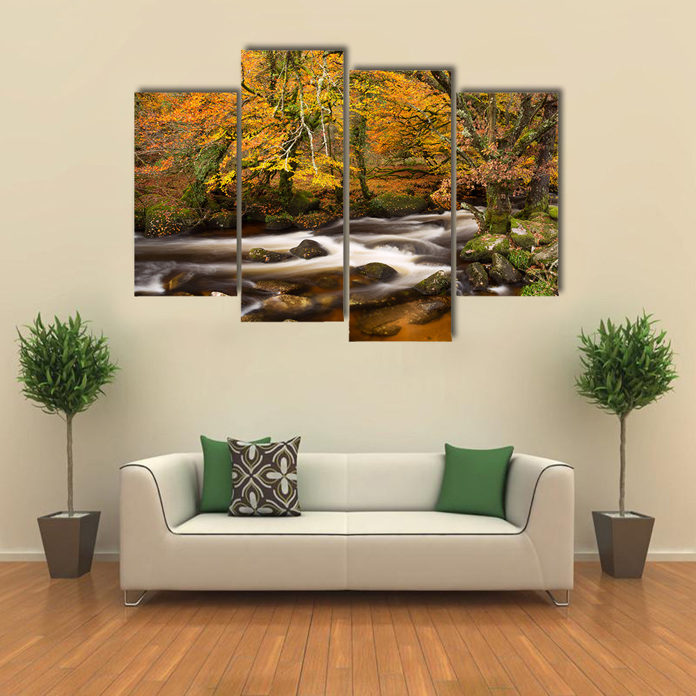 Autumn River in Dartmoor, Devon Canvas Wall Art