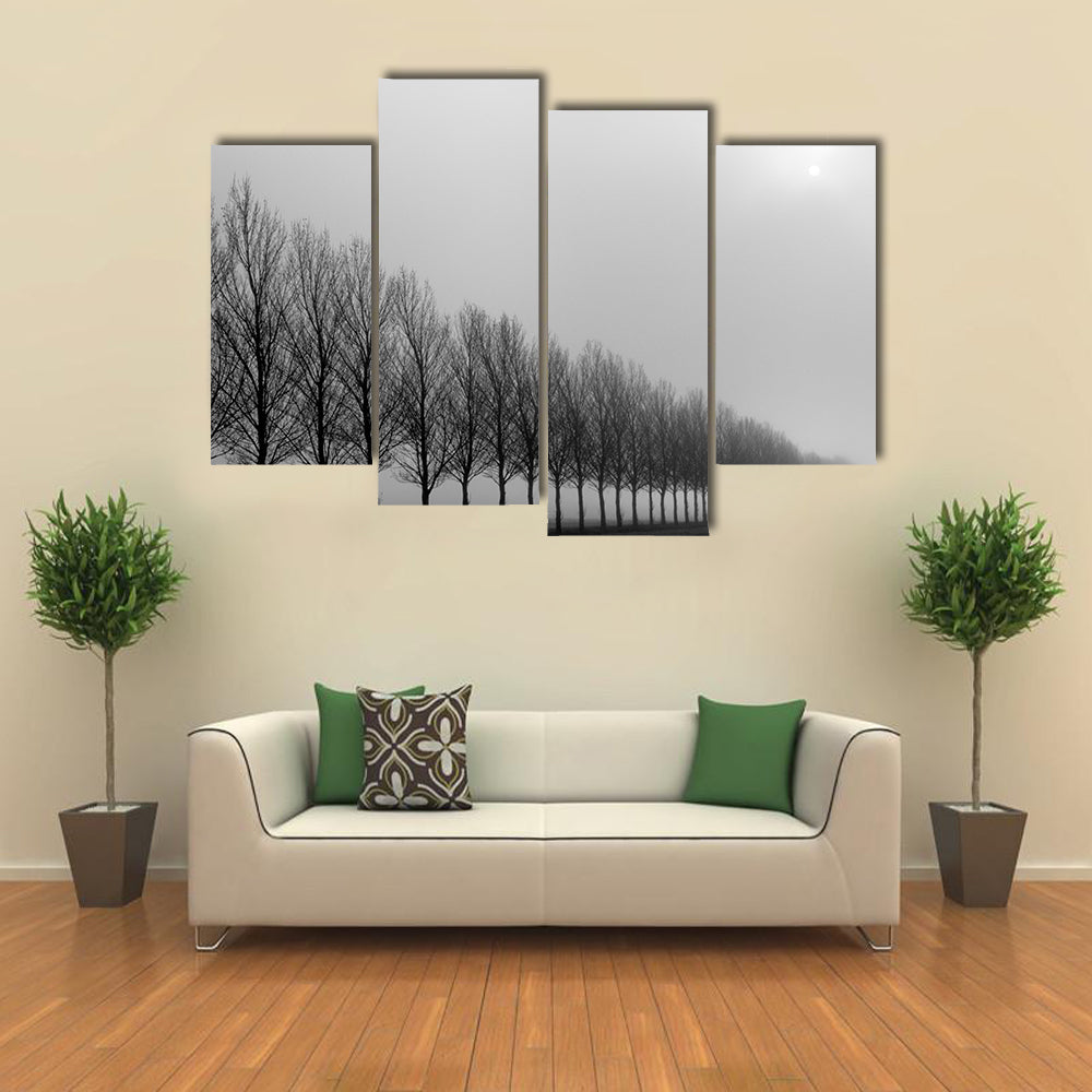 Autumn Trees in Mist Canvas Wall Art