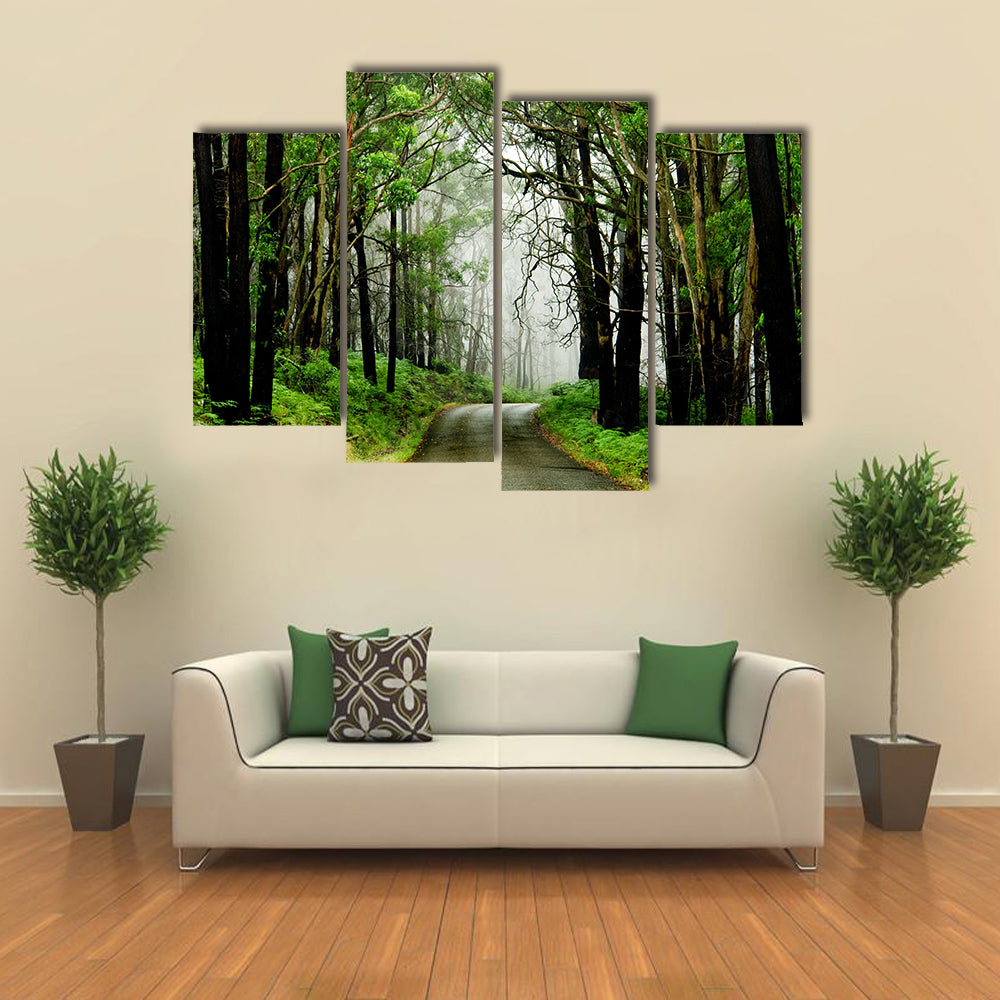 Forest Road With Fog Canvas Wall Art