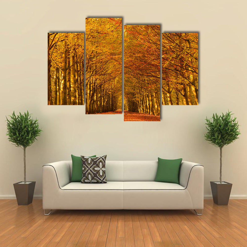 Autumn Forest Lane Canvas Wall Art