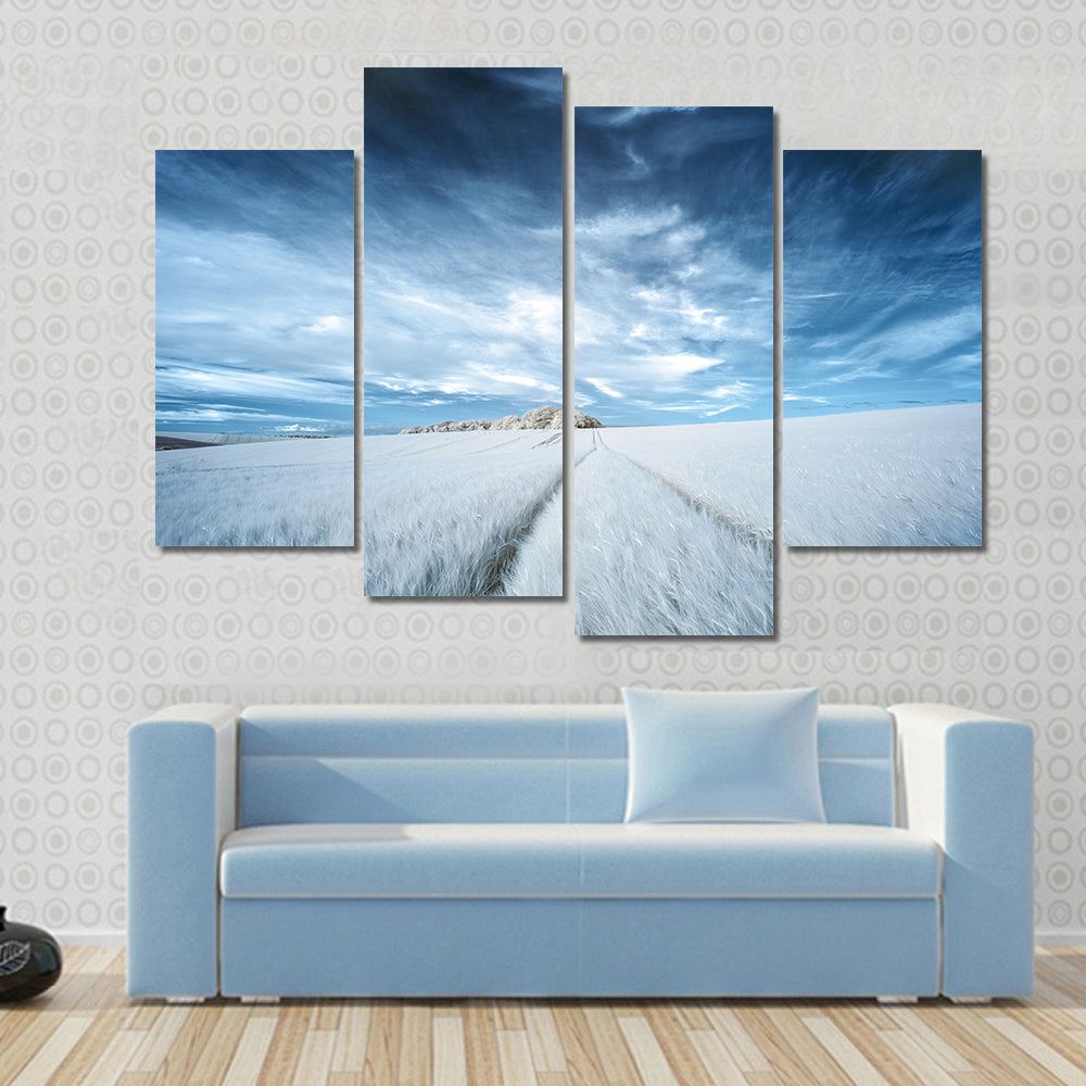 White Field with Parallel Tire Tracks Canvas Wall Art